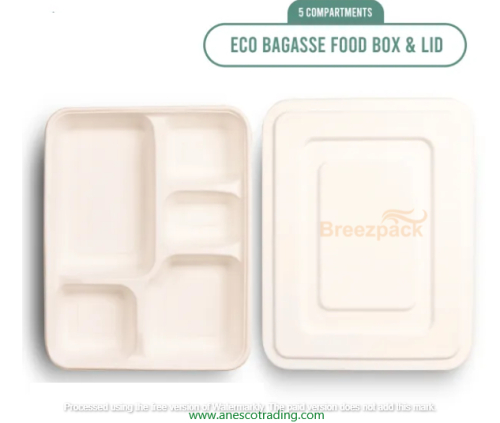 https://www.breezpack.com/assets/products/resized/Bagasse 5 compartment container - حاوية تفل 5 حجرات